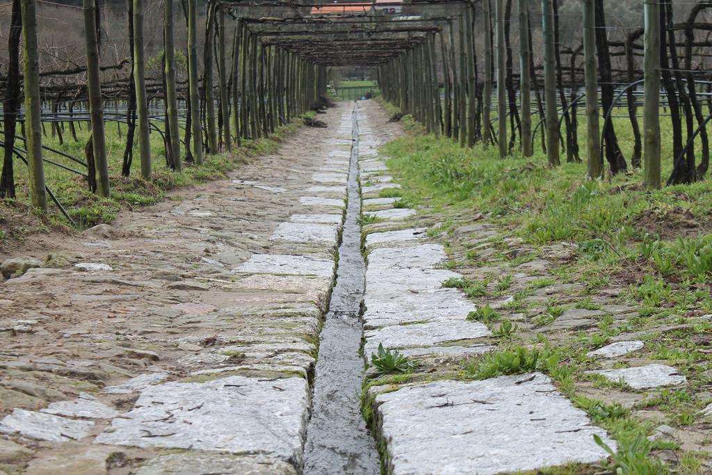 הוילה גימראייש Quinta Da Eira Do Sol מראה חיצוני תמונה