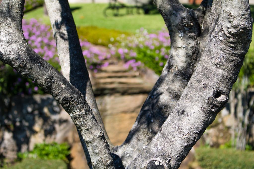 הוילה גימראייש Quinta Da Eira Do Sol מראה חיצוני תמונה